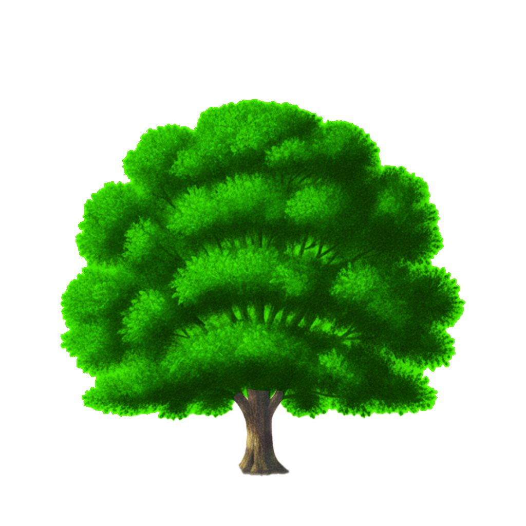 un arbre avce des feuilles vertes