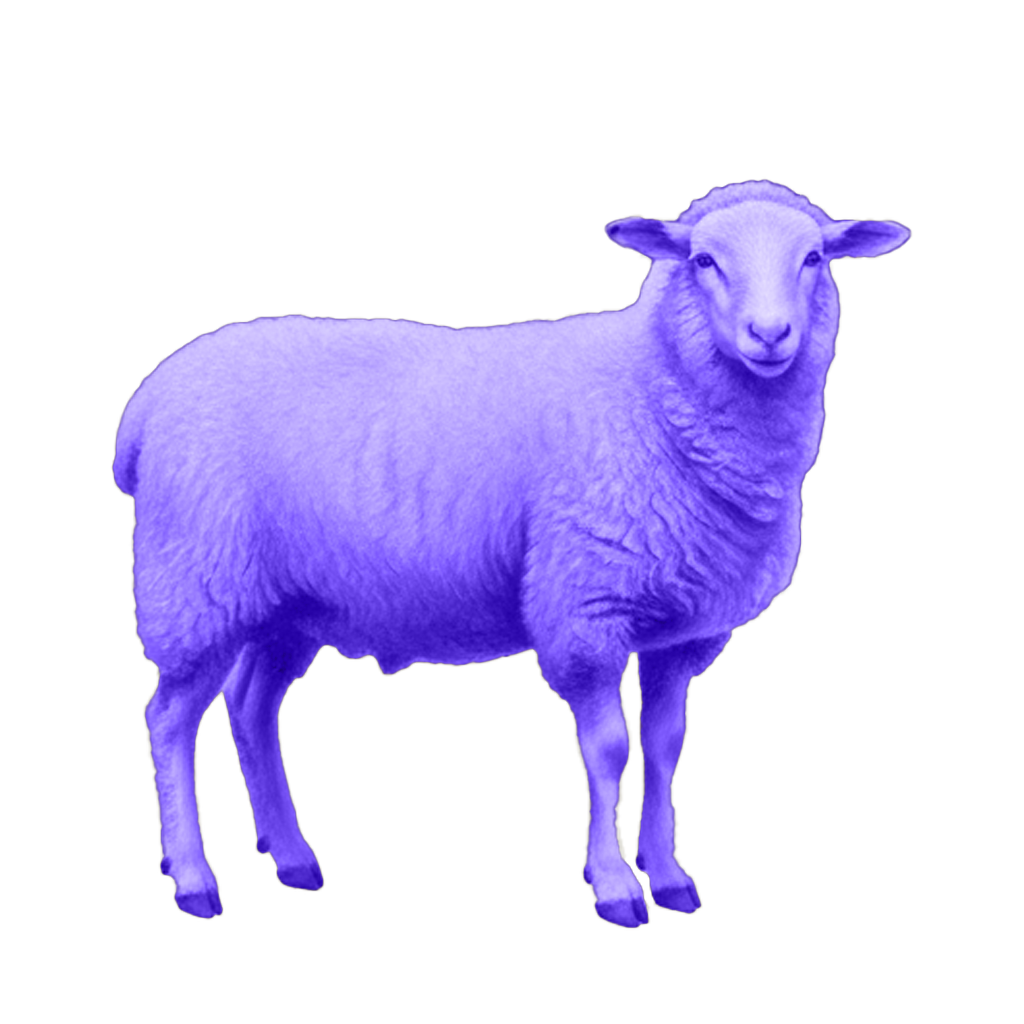 un mouton violet