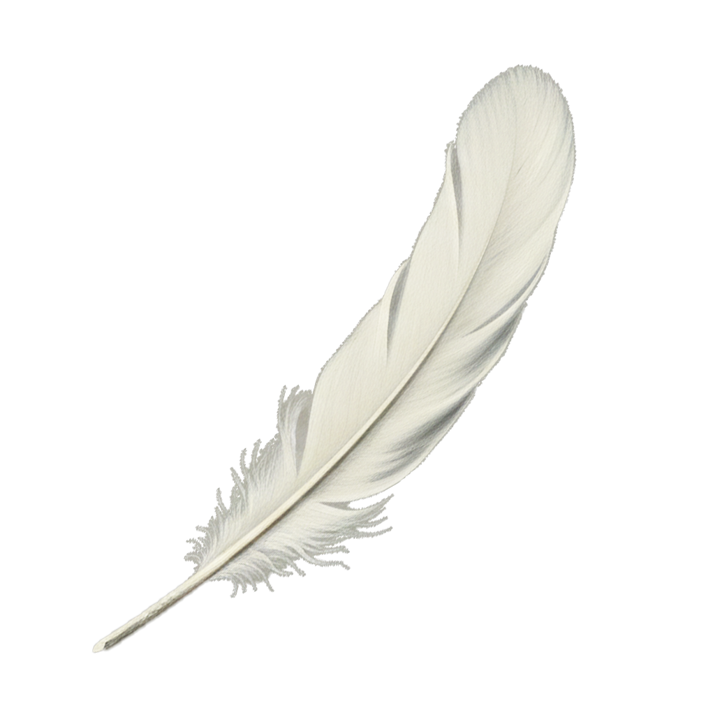 une plume blanche