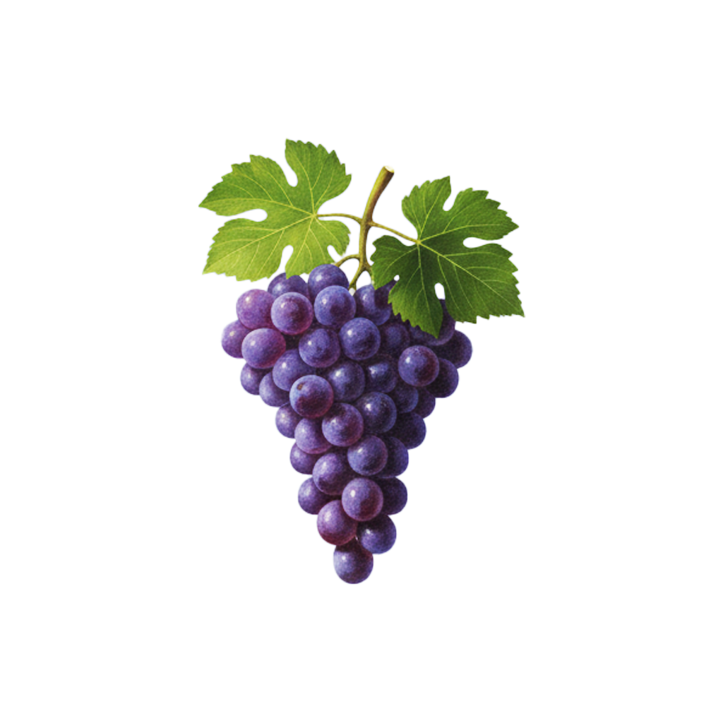 une grappe de raisin